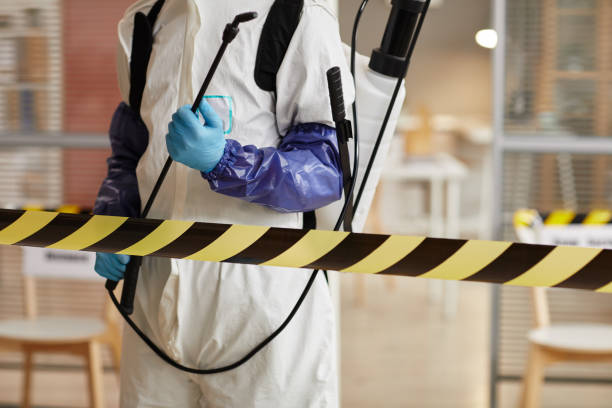 Professional Hoarding Cleanup technician working in Pescadero, CA